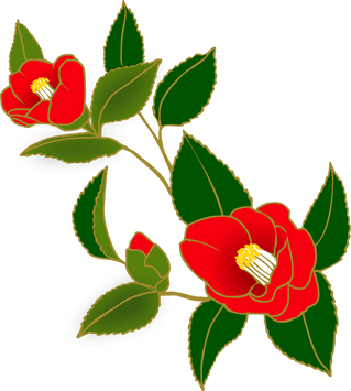 Flower Plant Illustration